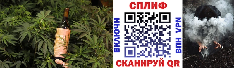 Cannafood конопля  гидра tor  Алагир 