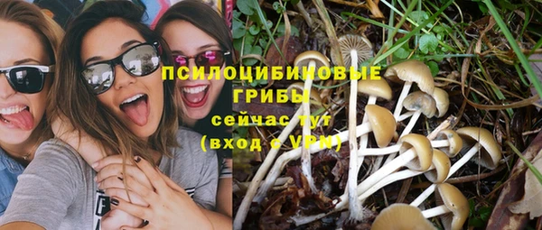 марки lsd Абаза